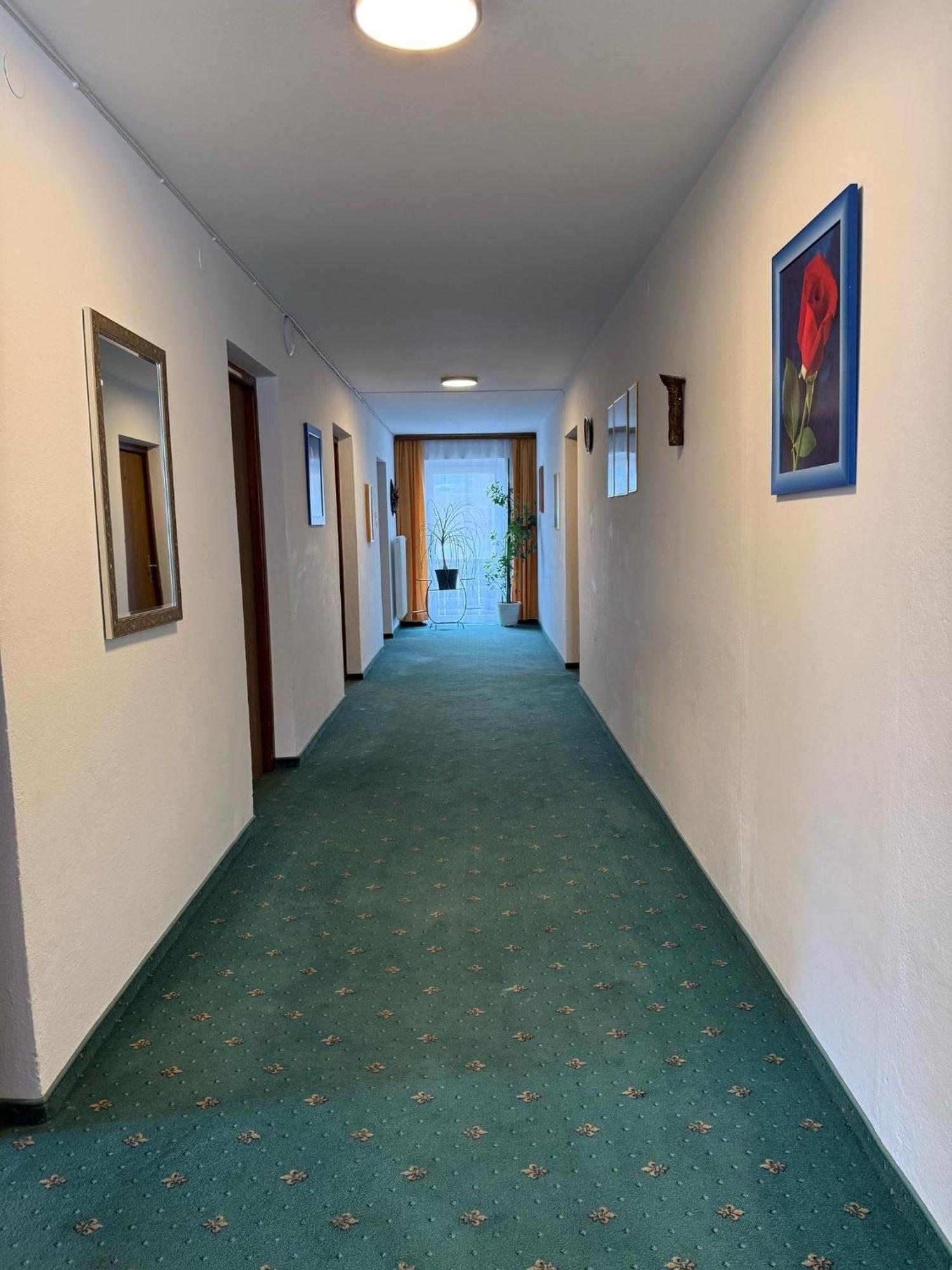 Pension Plattenhof 泰尔夫斯 外观 照片